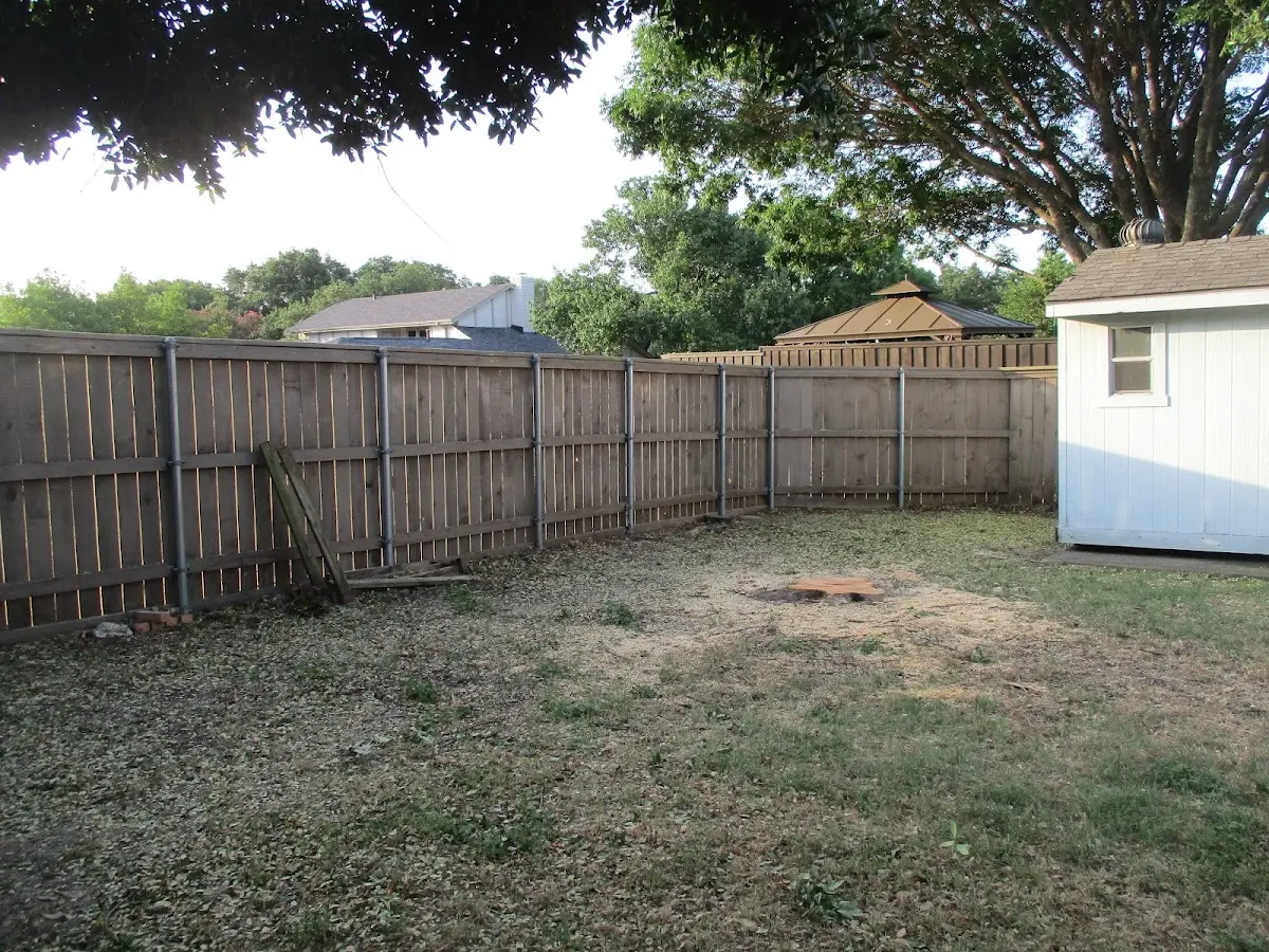 Cleared yard after professional tree removal in Gibsonville