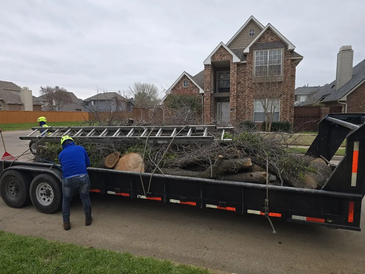Expert Tree Removal with proper safety equipment in Gibsonville